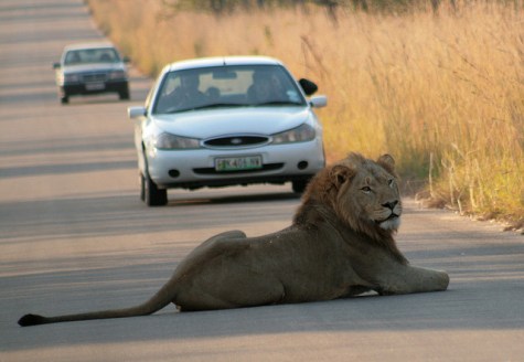 看老闆工作好輕鬆