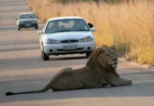 看老闆工作好輕鬆